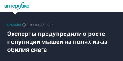 Эксперты предупредили о росте популяции мышей на полях из-за обилия снега - interfax.ru - Москва - Россия - Орловская обл. - Башкирия - Крым - Краснодарский край - Московская обл. - респ. Татарстан - Челябинская обл. - Саратовская обл. - Белгородская обл. - Алтайский край - Воронежская обл. - респ. Дагестан - респ. Чечня - респ. Алания - Астраханская обл. - Ростовская обл. - Калужская обл. - респ. Адыгея - Пермский край - респ. Калмыкия - респ. Кабардино-Балкария - Оренбургская обл. - Ставрополье - Тульская обл. - Липецкая обл. - республика Карелия - республика Мордовия