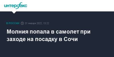 Молния попала в самолет при заходе на посадку в Сочи - interfax.ru - Москва - Сочи - Красноярск - Сочи - Адлер