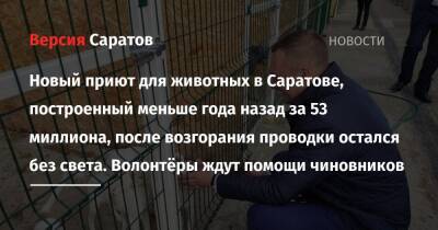 Вячеслав Володин - Роман Бусаргин - Новый приют для животных в Саратове, построенный меньше года назад за 53 миллиона, после возгорания проводки остался без света. Волонтёры ждут помощи чиновников - nversia.ru - Саратовская обл. - Саратов