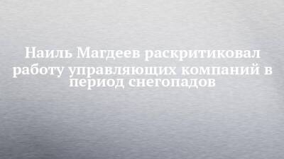 Наиль Магдеев - Наиль Магдеев раскритиковал работу управляющих компаний в период снегопадов - chelny-izvest.ru