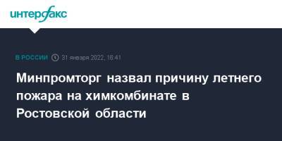 Минпромторг назвал причину летнего пожара на химкомбинате в Ростовской области - interfax.ru - Москва - Россия - Ростовская обл.