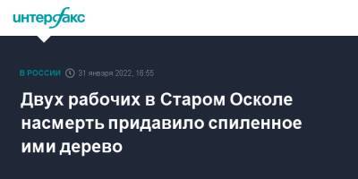 Двух рабочих в Старом Осколе насмерть придавило спиленное ими дерево - interfax.ru - Москва - Белгородская обл.