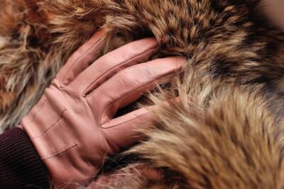 Giorgio Armani - В Dolce&Gabbana решили отказаться от использования натурального меха - aif.ru