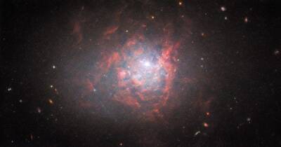Вселенная - Космический чудак. Телескоп Хаббл сделал снимок неправильной галактики - focus.ua - Украина