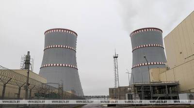 Виктор Каранкевич - Первый энергоблок БелАЭС позволил заместить около 1,8 млрд куб.м природного газа - belta.by - Белоруссия - Минск