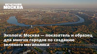 Экологи: Москва — показатель и образец для многих городов по созданию зеленого мегаполиса - vm.ru - Москва - Москва - Экология