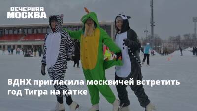 ВДНХ пригласила москвичей встретить год Тигра на катке - vm.ru - Москва - Россия