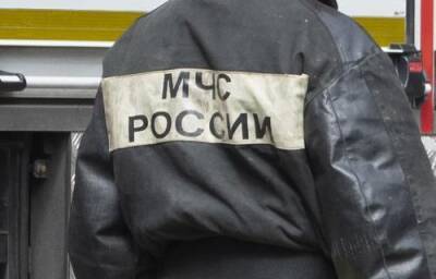 Двенадцать человек были спасены при пожаре в многоэтажном доме на севере Москвы - argumenti.ru - Москва - Москва