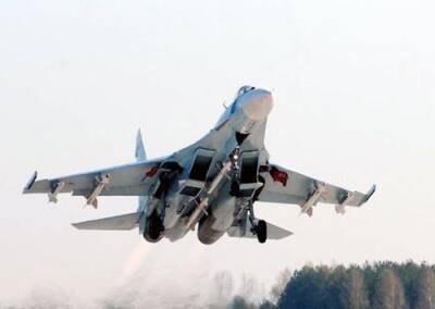 Минобороны опровергло заявление эстонской стороны о нарушении российским истребителем воздушного пространства - argumenti.ru - Россия - Эстония