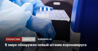 В мире обнаружен новый штамм коронавируса - kubnews.ru - Россия - Франция - Камерун
