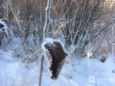 Морозы до — 21 °С ожидаются в Нижнем Новгороде на этой неделе - vgoroden.ru - Нижний Новгород - Нижний Новгород