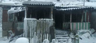 Следствие опубликовало фото с места гибели человека на пожаре в Карелии - stolicaonego.ru - район Лоухский - республика Карелия