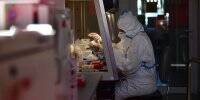 Во Франции - Во Франции обнаружили новый штамм коронавируса из Камеруна: у него 46 мутаций - vlasti.net - Франция - Камерун