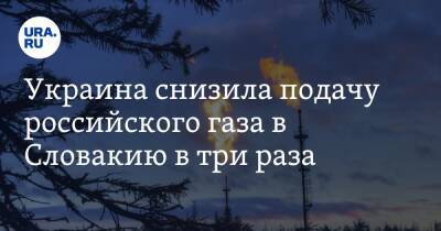 Украина снизила подачу российского газа в Словакию в три раза - ura.news - Украина - Словакия