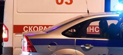 Renault Logan - Четверо детей пострадали за сутки в двух ДТП в Карелии, все они были в специальных креслах - stolicaonego.ru - район Лахденпохский - республика Карелия