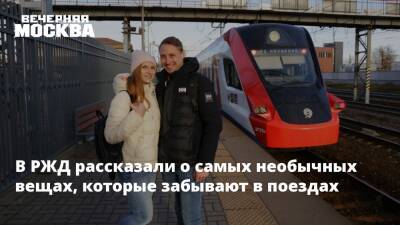 В РЖД рассказали о самых необычных вещах, которые забывают в поездах - vm.ru - Москва - Россия