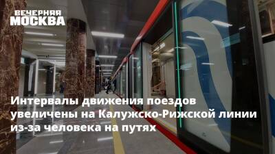 Интервалы движения поездов увеличены на Калужско-Рижской линии из-за человека на путях - vm.ru - Москва - Москва