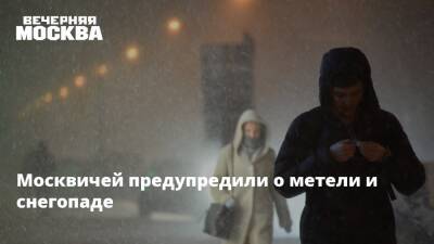 Роман Вильфанд - Москвичей предупредили о метели и снегопаде - vm.ru - Москва - Россия - Москва