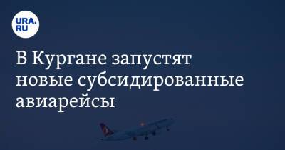 Вадим Шумков - В Кургане запустят новые субсидированные авиарейсы - ura.news - Санкт-Петербург - Сочи - Симферополь - Сургут - Курганская обл. - Югра - Курган