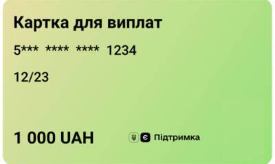 Украинцы уже израсходовали более 700 млн грн из выплаченной «тысячи Зеленского» - capital.ua - Украина