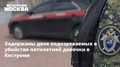 Задержаны двое подозреваемых в убийстве пятилетней девочки в Костроме - vm.ru - Россия - Кострома - Кострома