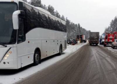 Погибшая женщина не была виновницей ДТП с автобусом на трассе «Кола» - province.ru - Санкт-Петербург