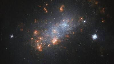Гороскоп на четверг, 6 января: волшебный день для всех влюбленных - mir24.tv