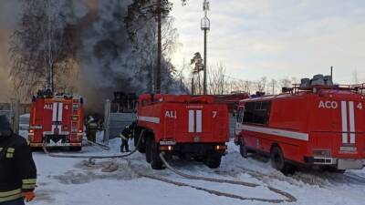 Ангелина Сергеева - В Екатеринбурге крупный пожар на промплощадке. Внутри раздаются взрывы (ФОТО) - newdaynews.ru - Екатеринбург