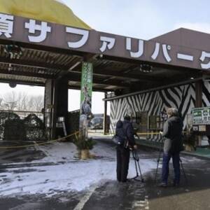 В сафари-парке в Японии тигр напал на людей - reporter-ua.com - Япония