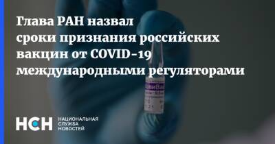Александр Сергеев - Глава РАН назвал сроки признания российских вакцин от COVID-19 международными регуляторами - nsn.fm - Россия