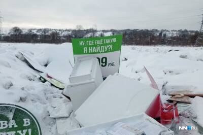 Свалку из коробок с маркой известного обувного магазина и меддокументами обнаружили в Артемовских лугах - vgoroden.ru - Нижний Новгород - Экология