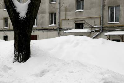 «Снежная каша» в центре Великого Новгорода «засветились» на федеральном канале - mk.ru - Россия - Великий Новгород