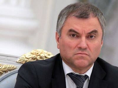 Вячеслав Володин - Володин предложил отправлять педофилов-рецидивистов пожизненно на северные рудники - kasparov.ru - Костромская обл. - Кострома