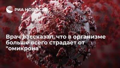 Михаил Мурашко - Сергей Токарев - Ученый Токарев назвал имунную систему главной жертвой омикрон-штамма коронавируса - ria.ru - Москва - Россия - Юар - Ботсвана