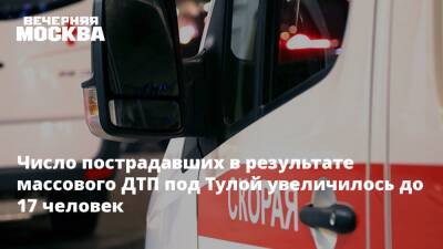 Число пострадавших в результате массового ДТП под Тулой увеличилось до 17 человек - vm.ru - Москва - Тула - Тульская обл.