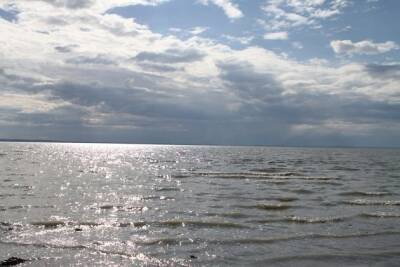 Александр Осипов - Торейские озёра могут полностью наполниться за 10 лет — эколог - chita.ru - Россия - Монголия - Забайкальский край - Экология