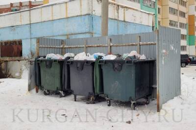 Квартальные выявили переполненные мусором контейнеры в Кургане - eburg.mk.ru