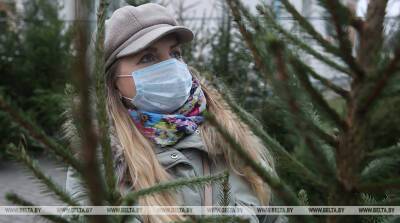 В Брестской области в новогодние праздники вырос спрос на живые ели - belta.by - Белоруссия - район Пинский