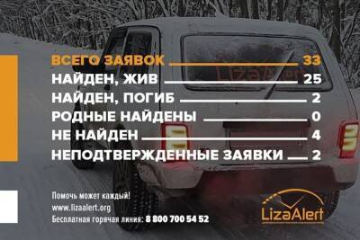 В декабре в Ивановской области было подано 33 заявки на поиски людей - mkivanovo.ru - Кострома - Ивановская обл.