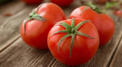 Ученые удивили информацией о правильном хранении помидор - enovosty.com