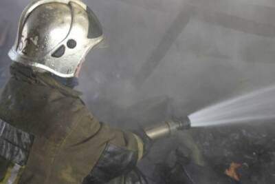 Спасатели локализовали пожар в общежитии на улице Олеко Дундича - spb.mk.ru - Санкт-Петербург - район Красносельский