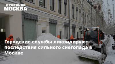 Евгений Тишковец - Городские службы ликвидируют последствия сильного снегопада в Москве - vm.ru - Москва