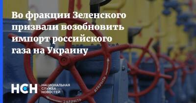 Олег Семинский - Во фракции Зеленского призвали возобновить импорт российского газа на Украину - nsn.fm - Россия - Украина