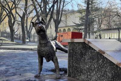 Евгений Моисеев - Памятник писающему псу установили в Кисловодске - kavkaz.mk.ru - Бельгия - Брюссель - Кисловодск