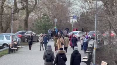 В Одессе наблюдают аномалию в начале января, кадры: "на деревьях распустились..." - politeka.net - Украина - Одесса - Одесса - Odessa