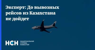 Эксперт: До вывозных рейсов из Казахстана не дойдет - nsn.fm - Москва - Казахстан - Алма-Ата