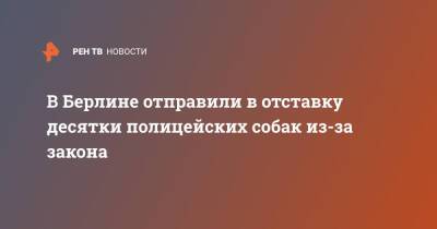 В Берлине отправили в отставку десятки полицейских собак из-за закона - ren.tv - Германия - Берлин