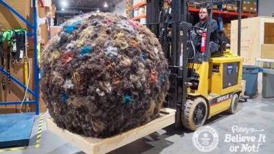 Американец скатал шар из человеческих волос весом 100 килограммов - mir24.tv - Россия - шт. Огайо - штат Миссури