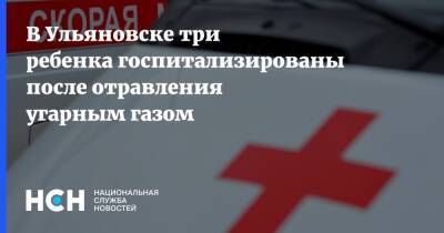 В Ульяновске три ребенка госпитализированы после отравления угарным газом - nsn.fm - Ульяновск - Ульяновск