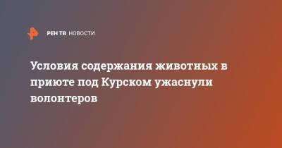 Условия содержания животных в приюте под Курском ужаснули волонтеров - ren.tv - Курск